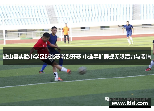 微山县实验小学足球比赛激烈开赛 小选手们展现无限活力与激情