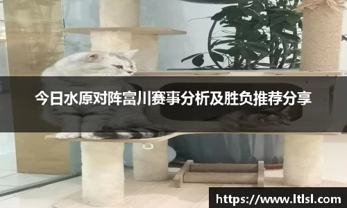 星空.综合体育官网