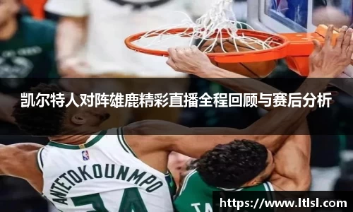 星空.综合体育官网