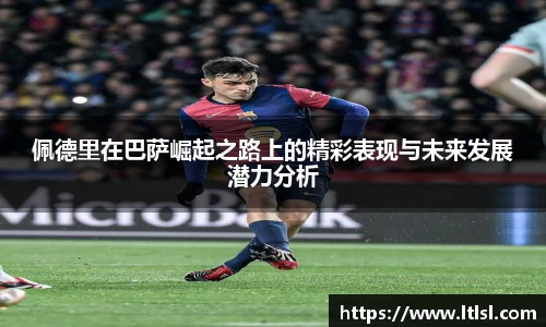 星空.综合体育官网