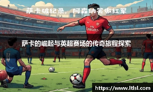 星空.综合体育官网