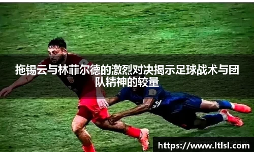 星空综合(中国)官方网站