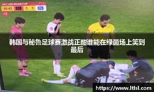 星空.综合体育官网