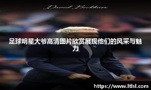 星空.综合体育(中国)官方网站