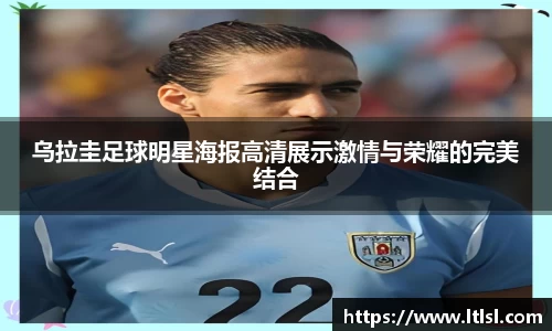 星空.综合体育官网