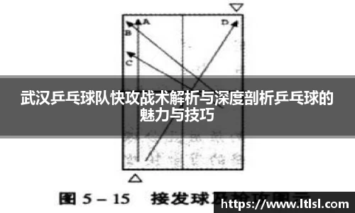 星空综合(中国)官方网站