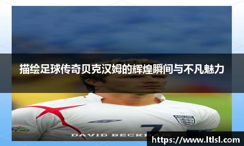 星空.综合体育官网